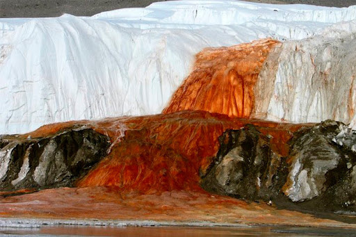 Одна только картинка завораживает..