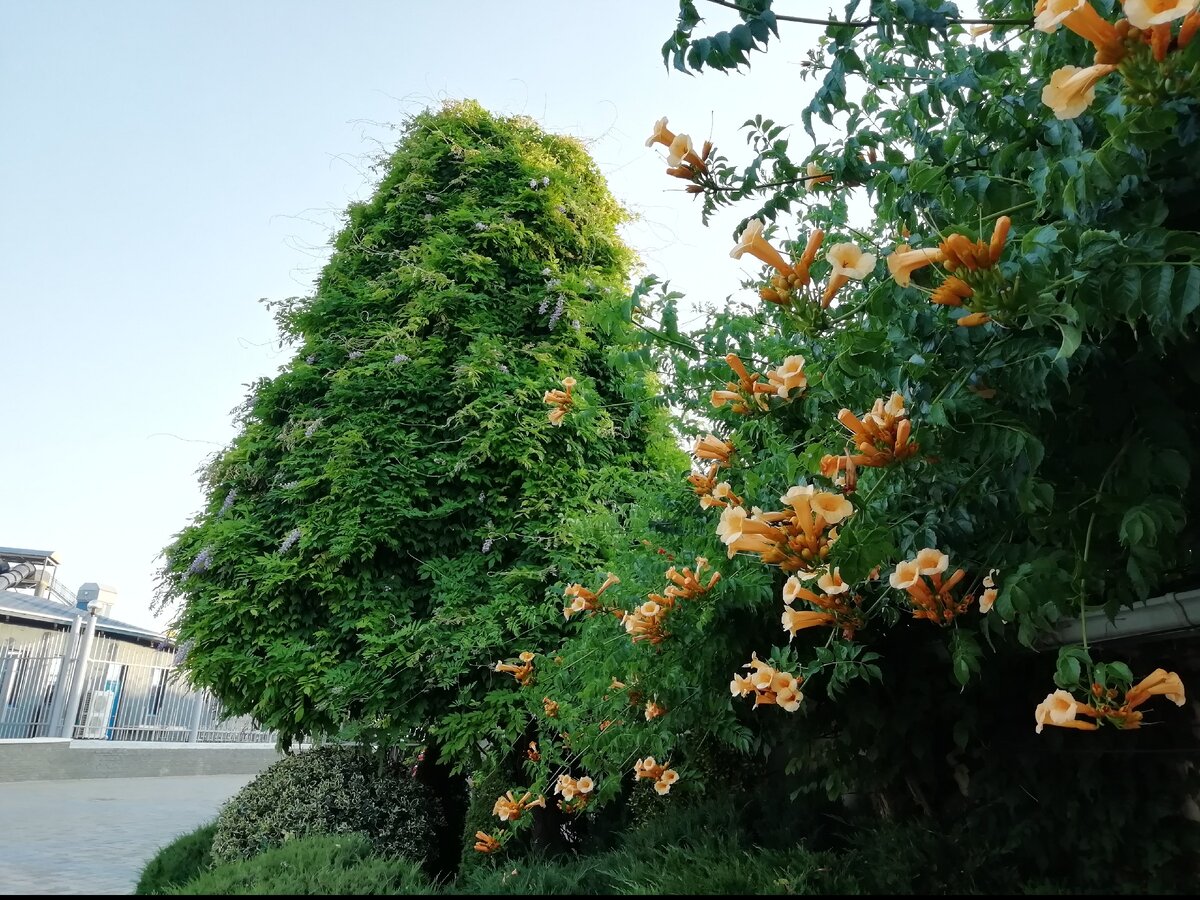 Анапа прекрасная в любое время года