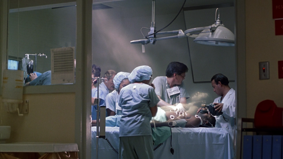 Фотография из свободного доступа