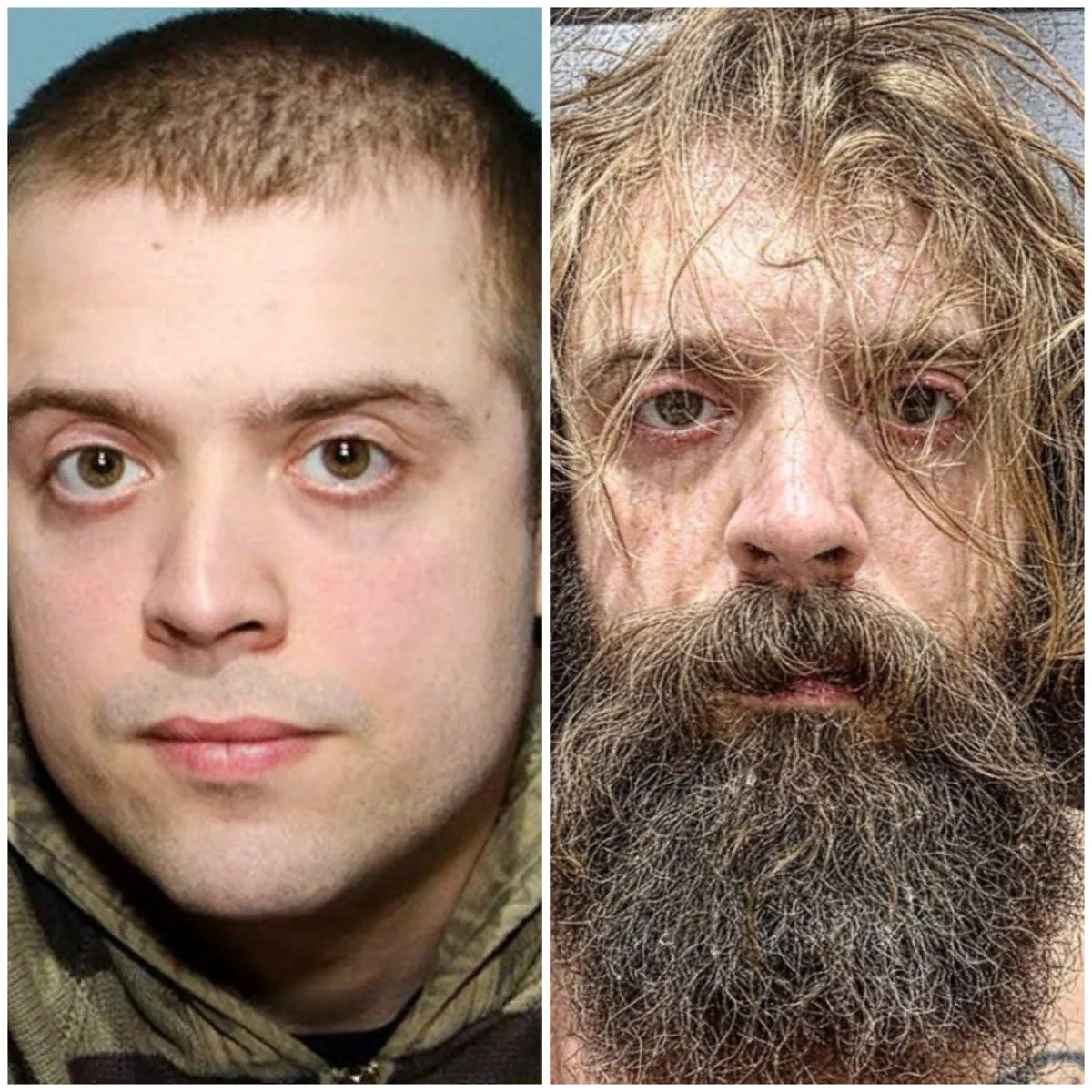 источник: yandex.ru