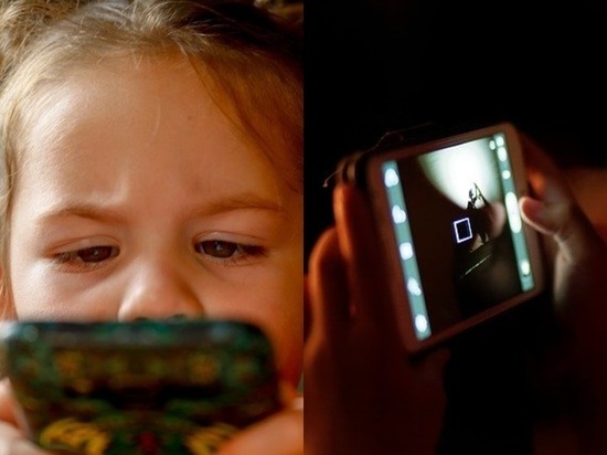 Фото - pixabay.com