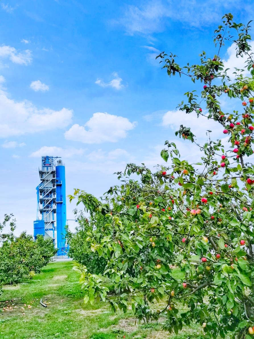 NFLG серии Solo 4500