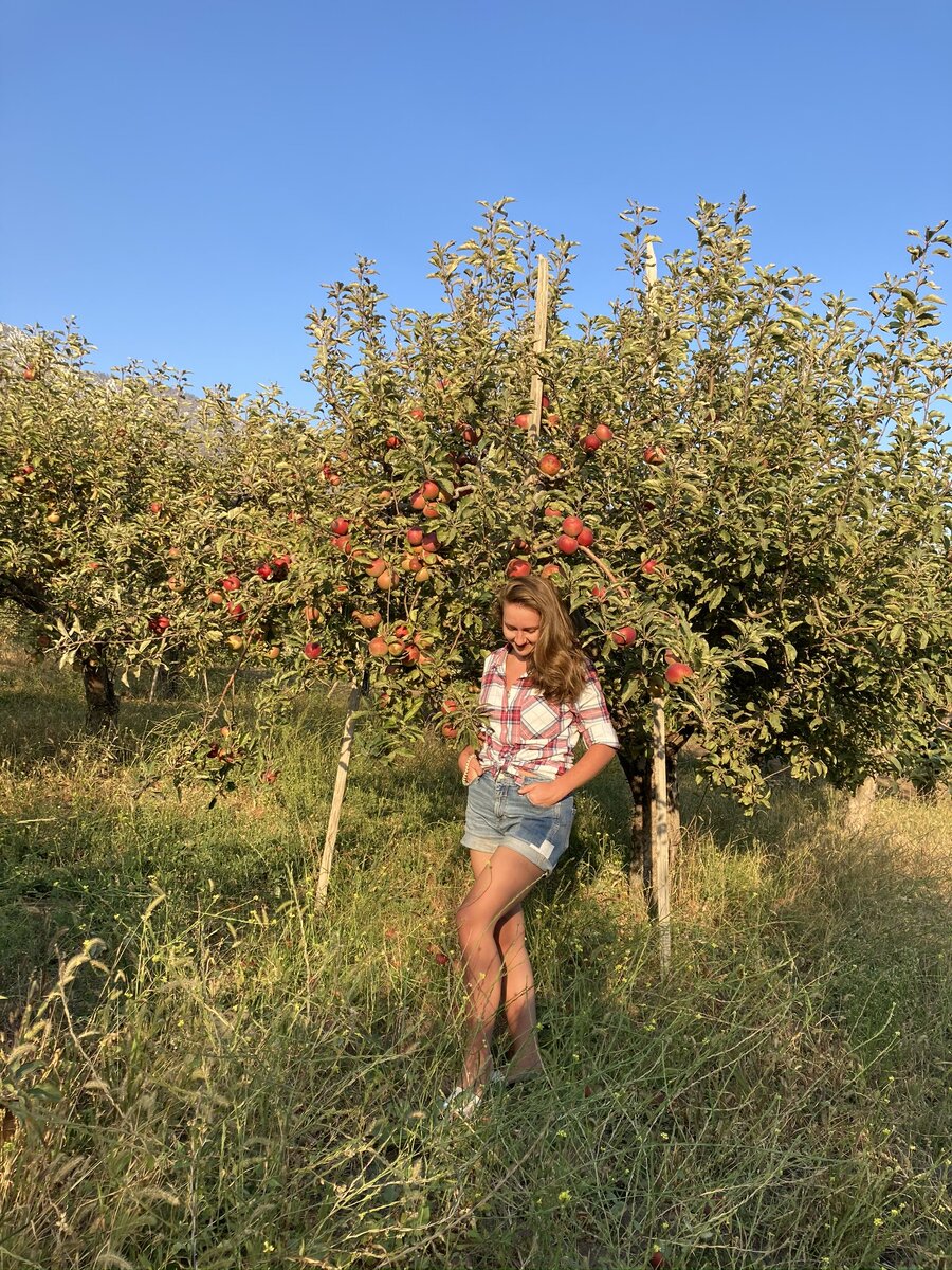 Оак Глен, Калифорния. Сентябрь, 2020