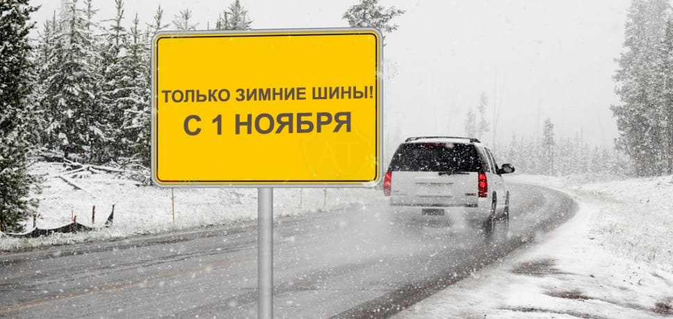 Фото взято из сети ИНТЕРНЕТ