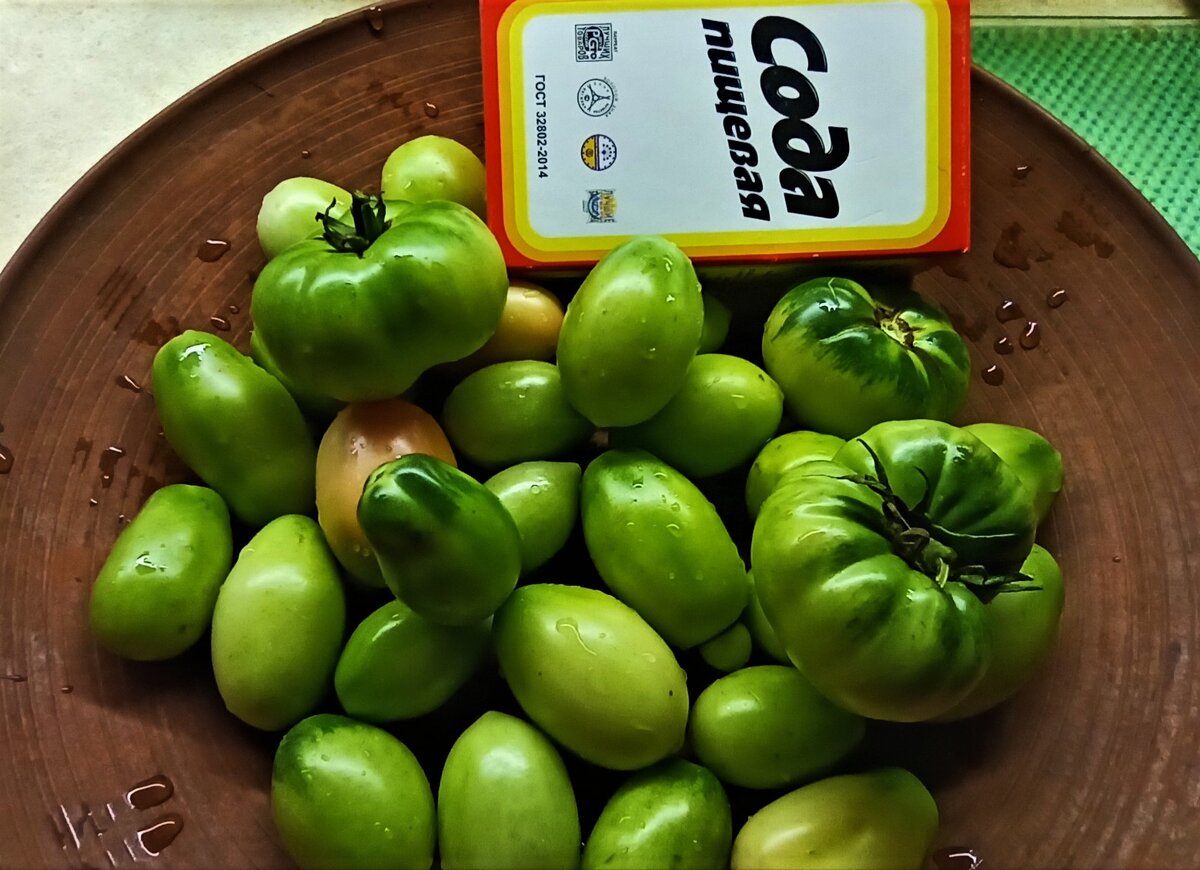 Что делать с зелеными помидорами. Как сохранить плоды и ускорить их покраснение