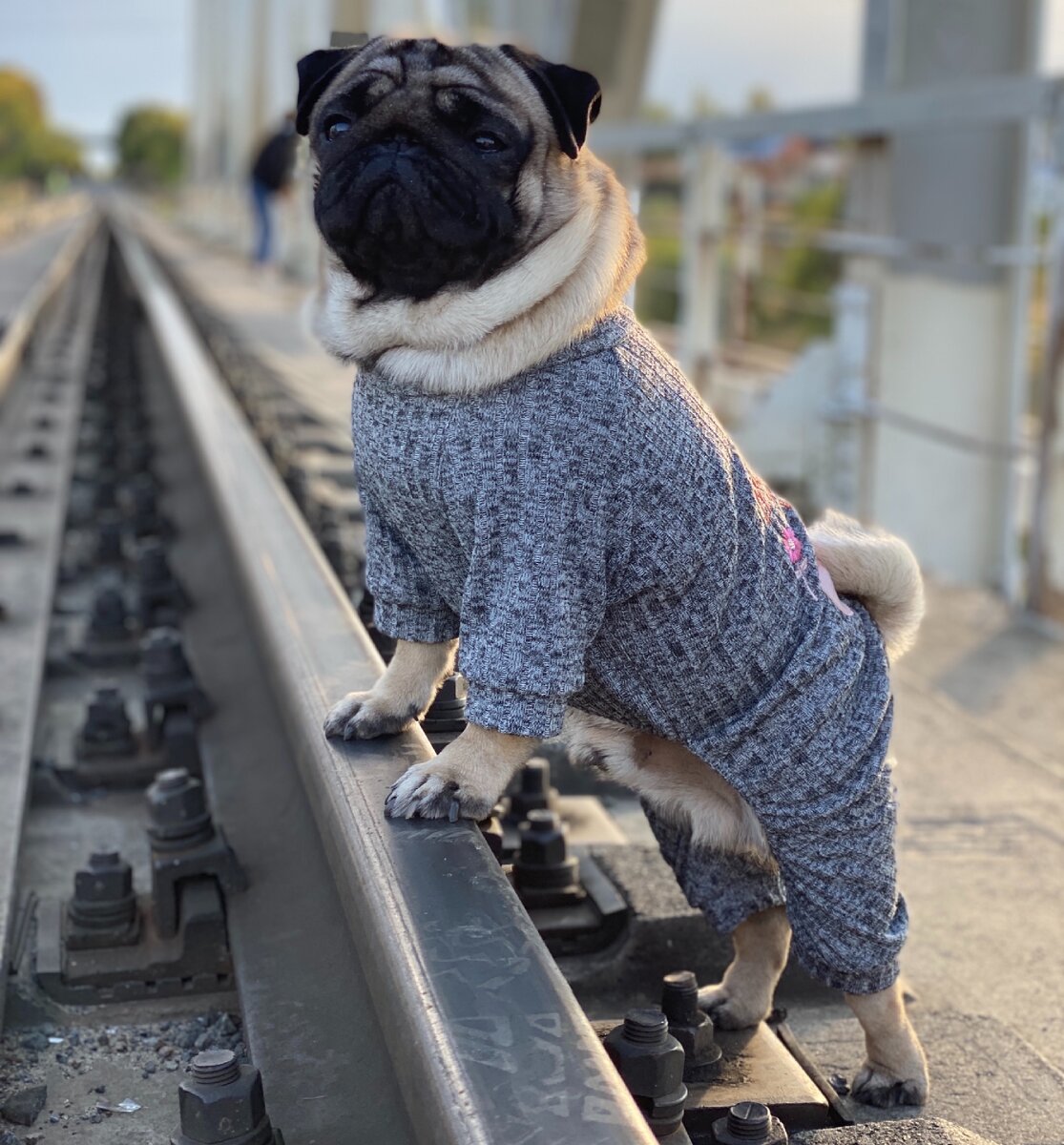 На фото Бэрри 