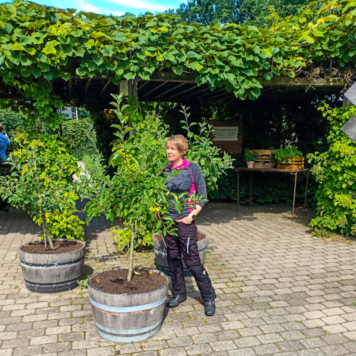 Гуляю по территории