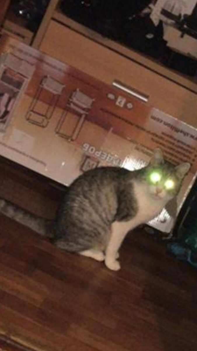 В ожидании.. Фото автора