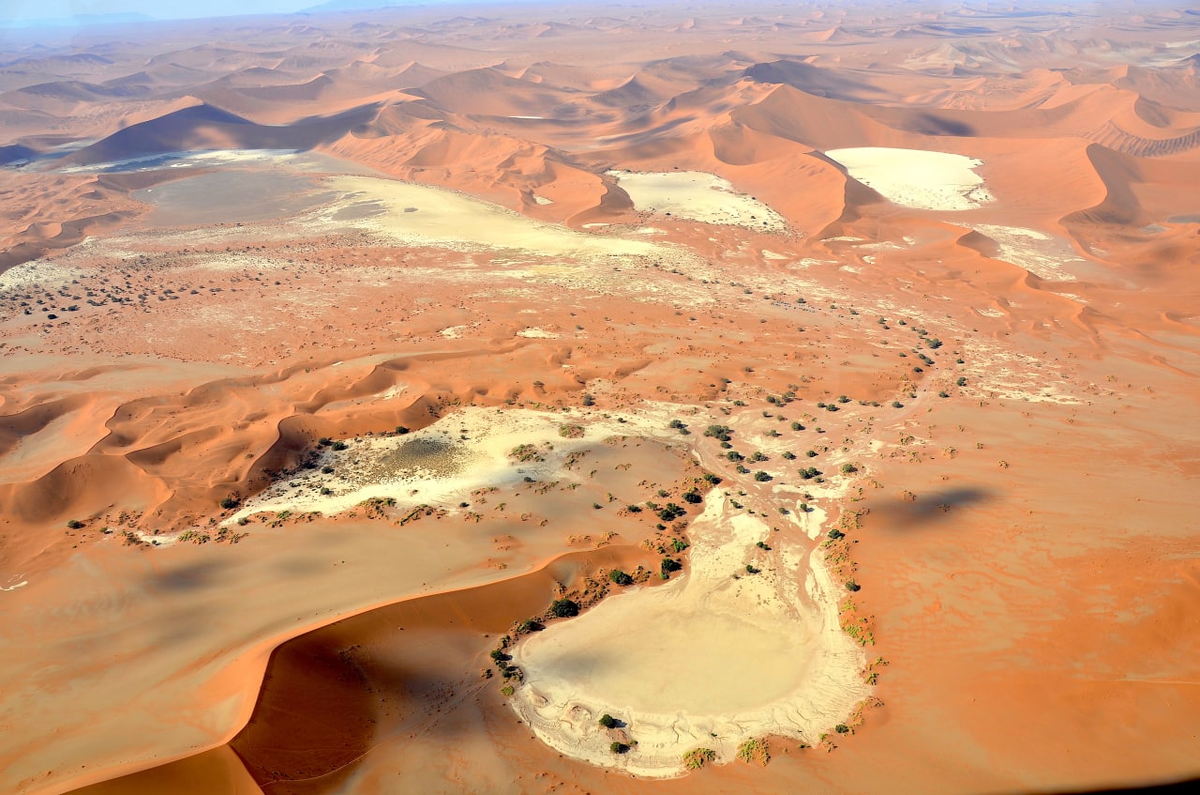 Самая сухая пустыня в африке. Пустыни: сахара, Ливийская, Намиб, Калахари.. Территория пустыни Намиб. Намиб-Науклуфт. Пустыня Намиб в Африке.