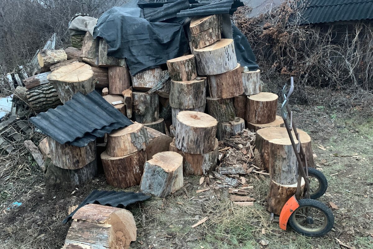 Рубка дров с утра вместо зарядки хорошо бодрит тело и дух.