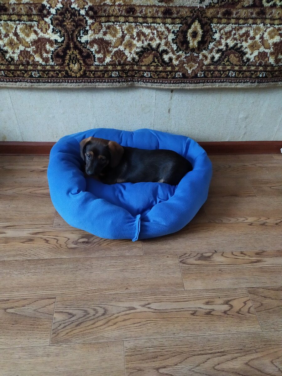 Наше спальное место (фото из альбома Ахламовых)