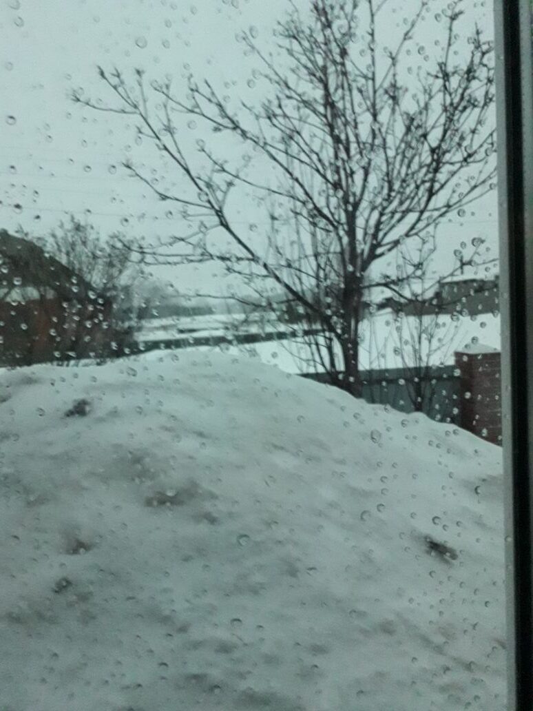 Фото из личного архива.