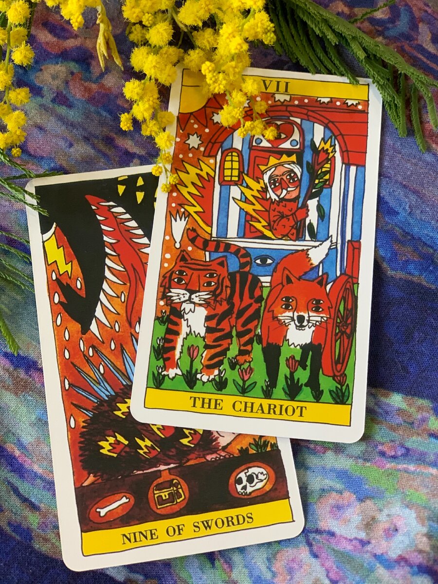 Фото из личной коллекции атвора