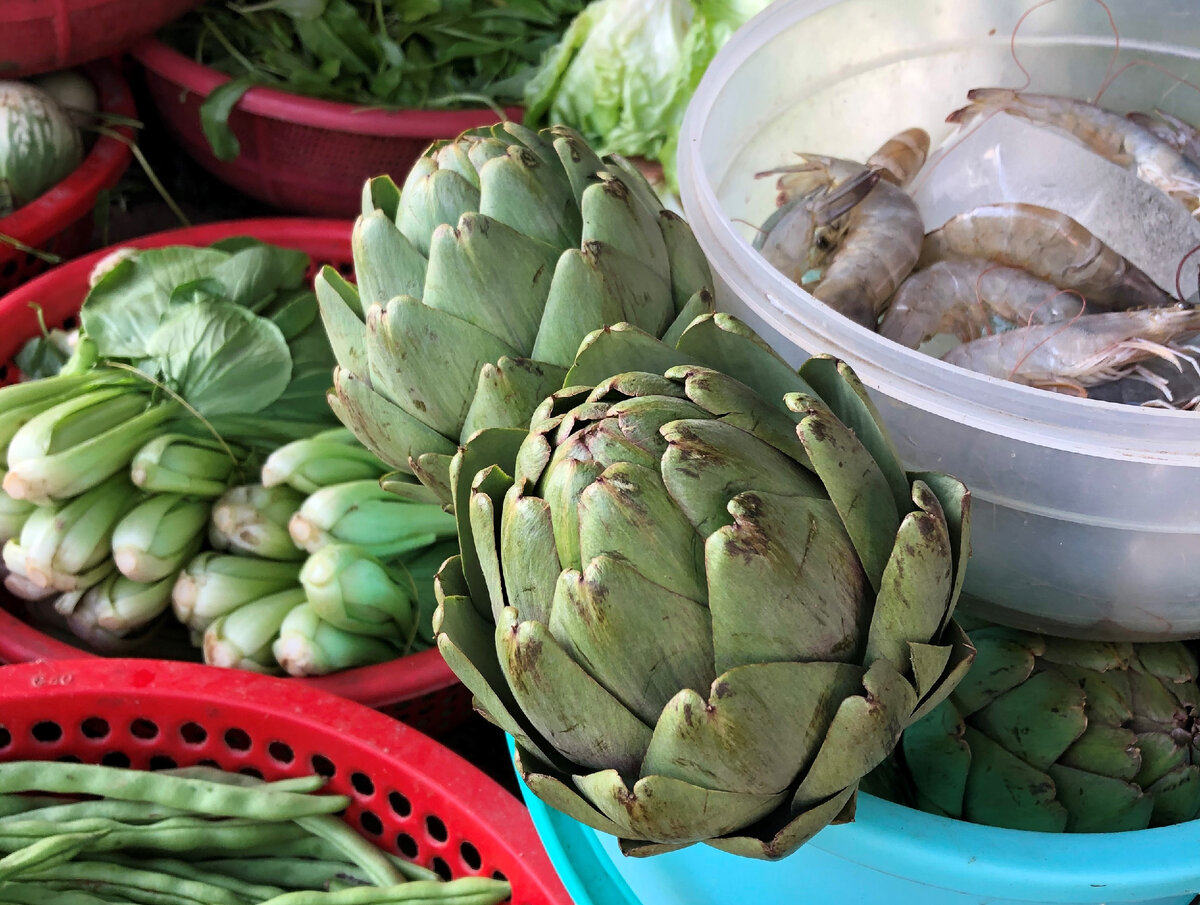 Артишок. Фото автора