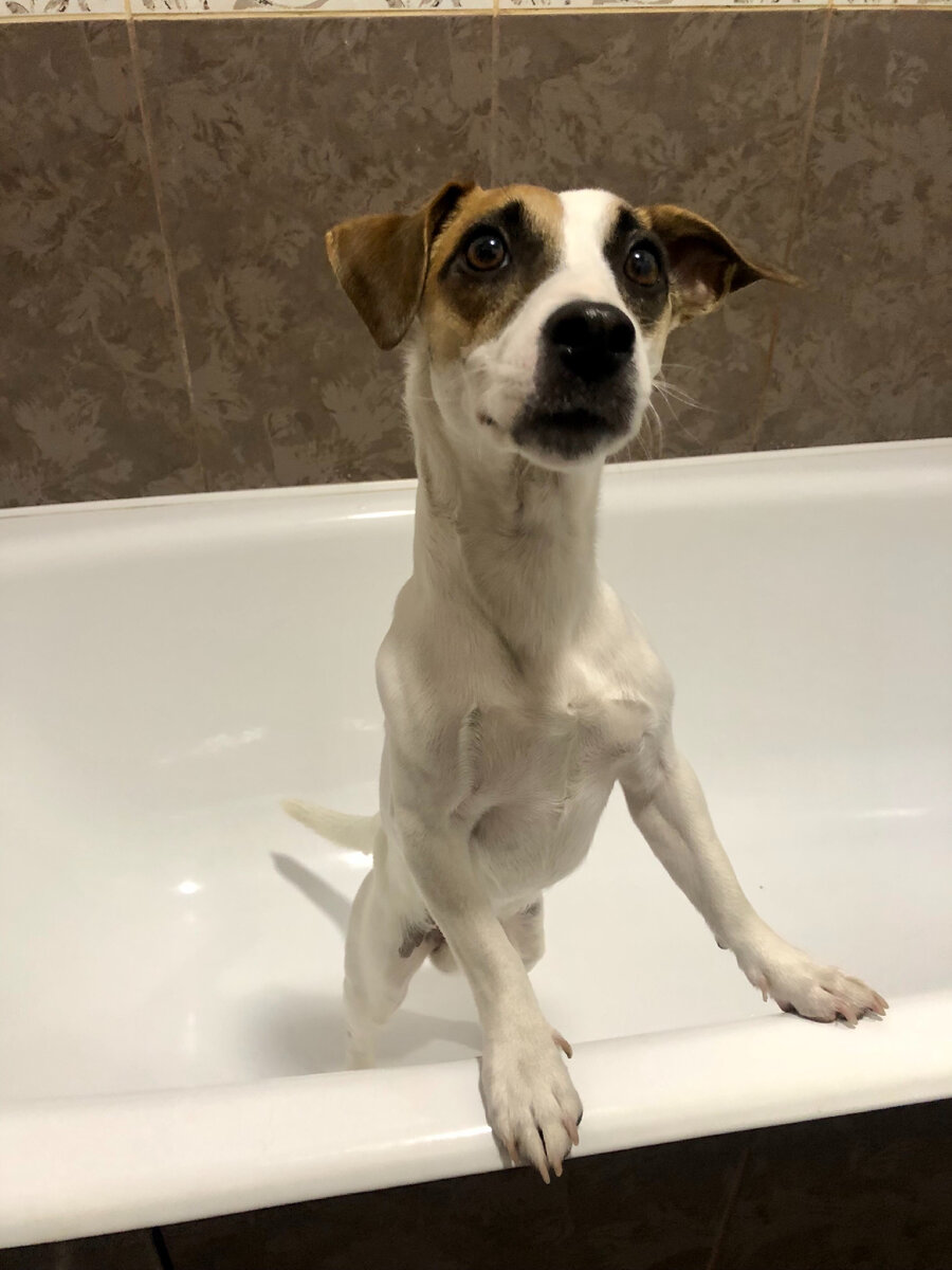 Ждёт своей участи