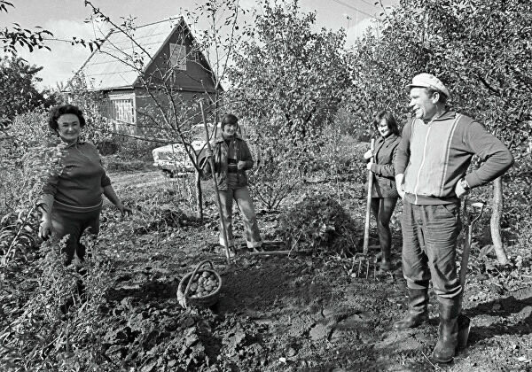 Целые поколения уезжали на дачу копать, пропалывать и сажать. Тогда еще не было мысли, что когда-то дача станет просто отдушиной
