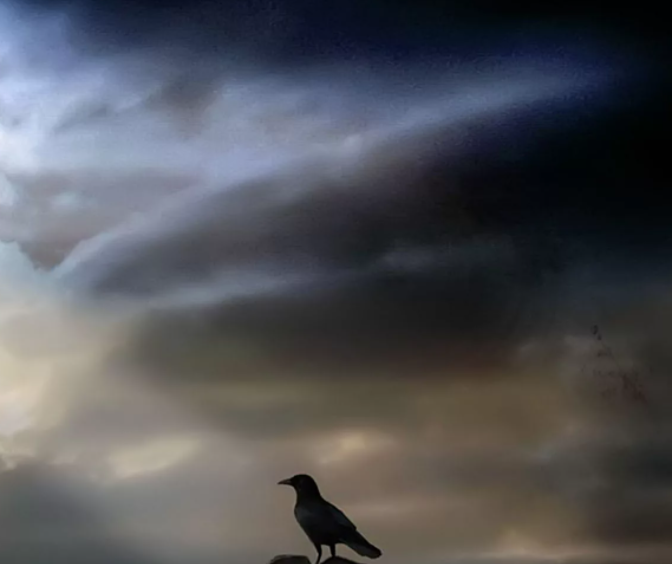 картинка взята из интернета.