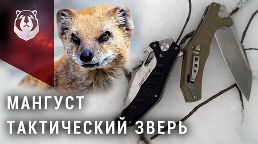 Складной нож который должен стоить в два раза дороже