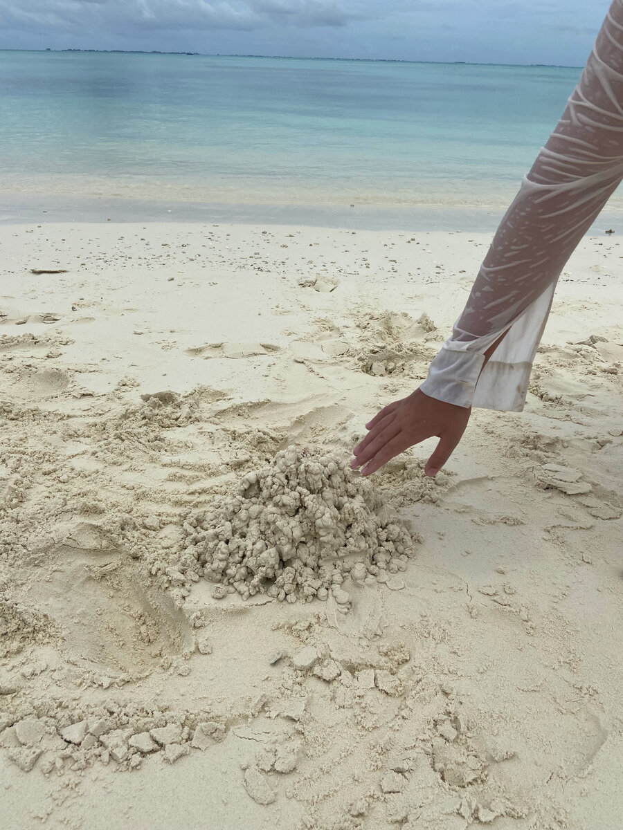 Человек, земля, вода, воздух и солнце - совместимы?