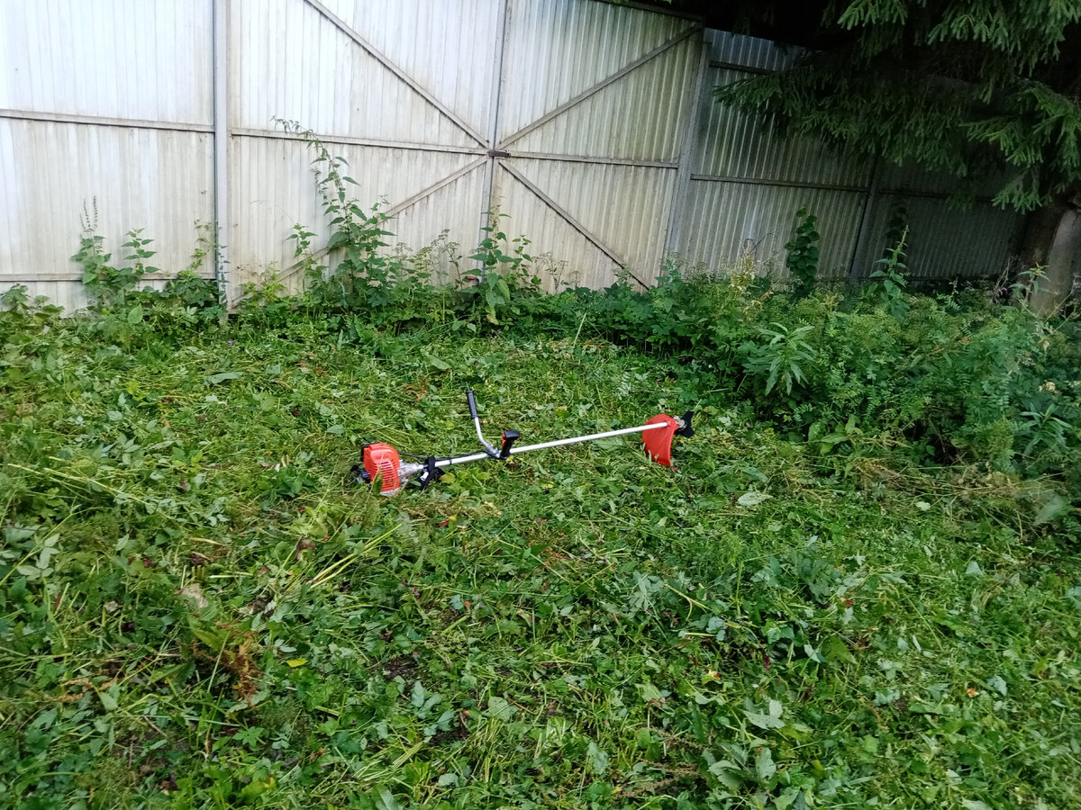 Личное фото автора канала. Зачистка заднего двора Парма Практик БТК-052!)