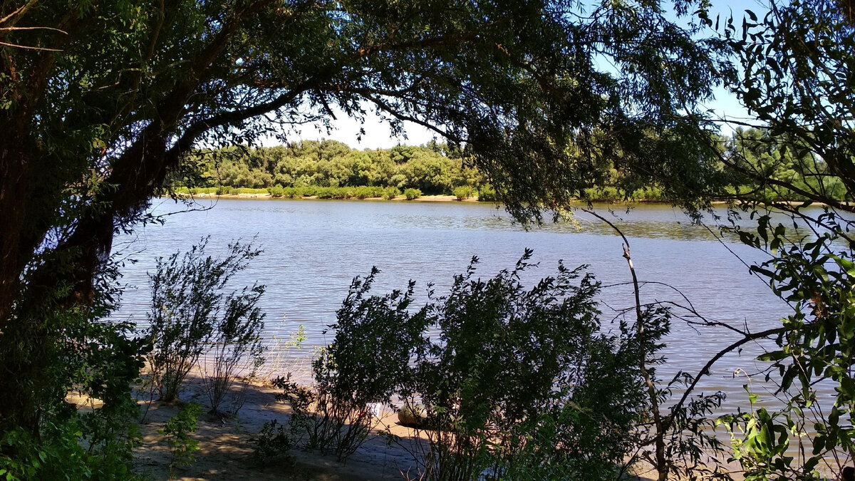 Вид на реку из нашего лагеря