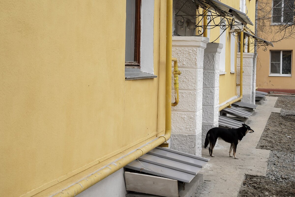 Фото: Геннадий Гуляев
