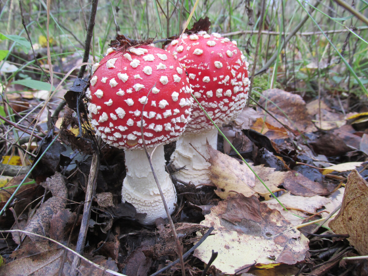 Фото Наталии Седых