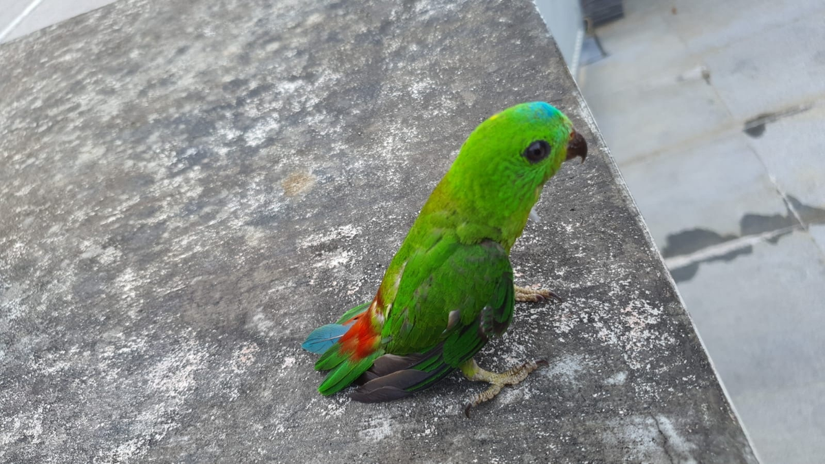 Этому городу нужен новый герой...