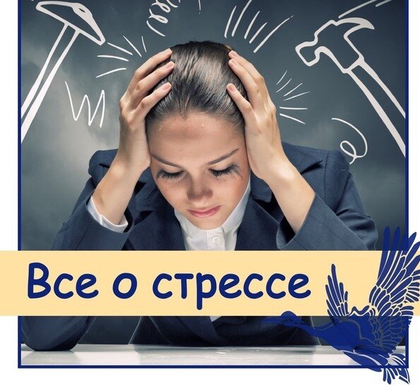 Редактор статьи - Манукян Давид