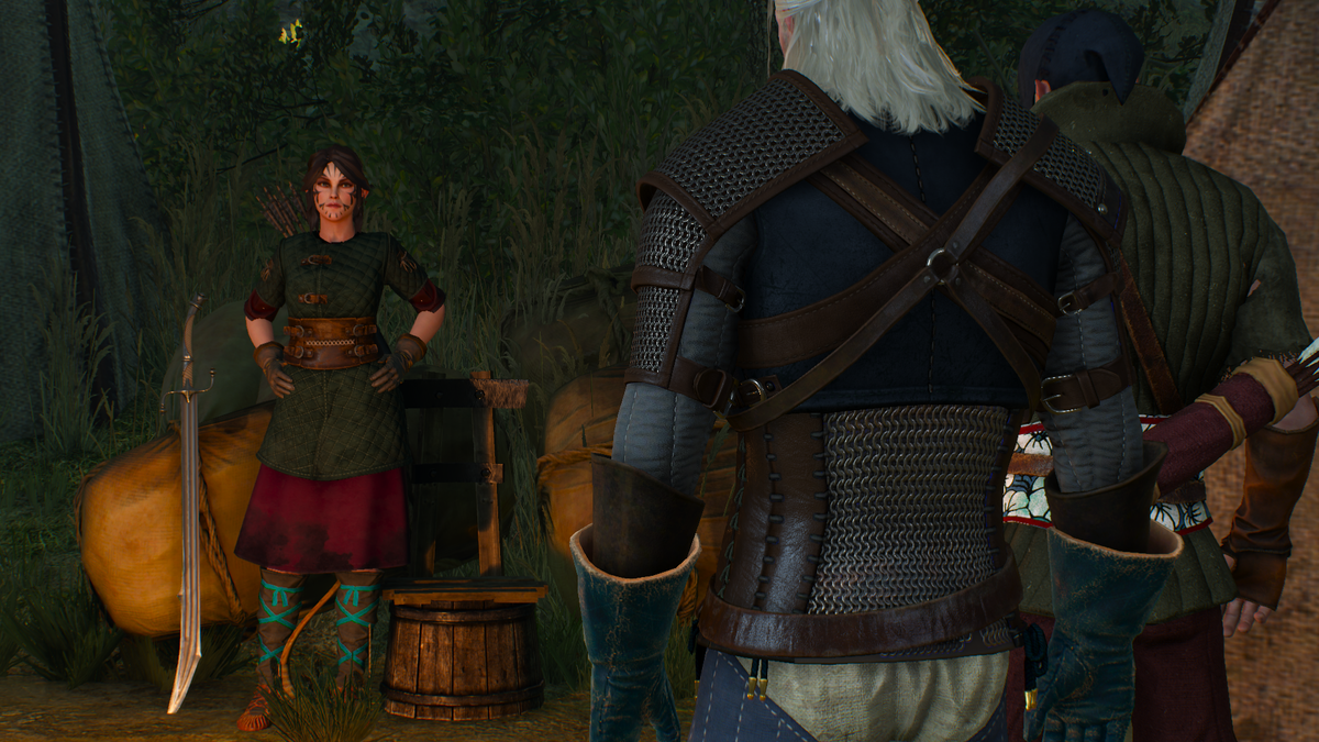 The Witcher 3 и его трудности выбора. | GEEK WORLD | Дзен