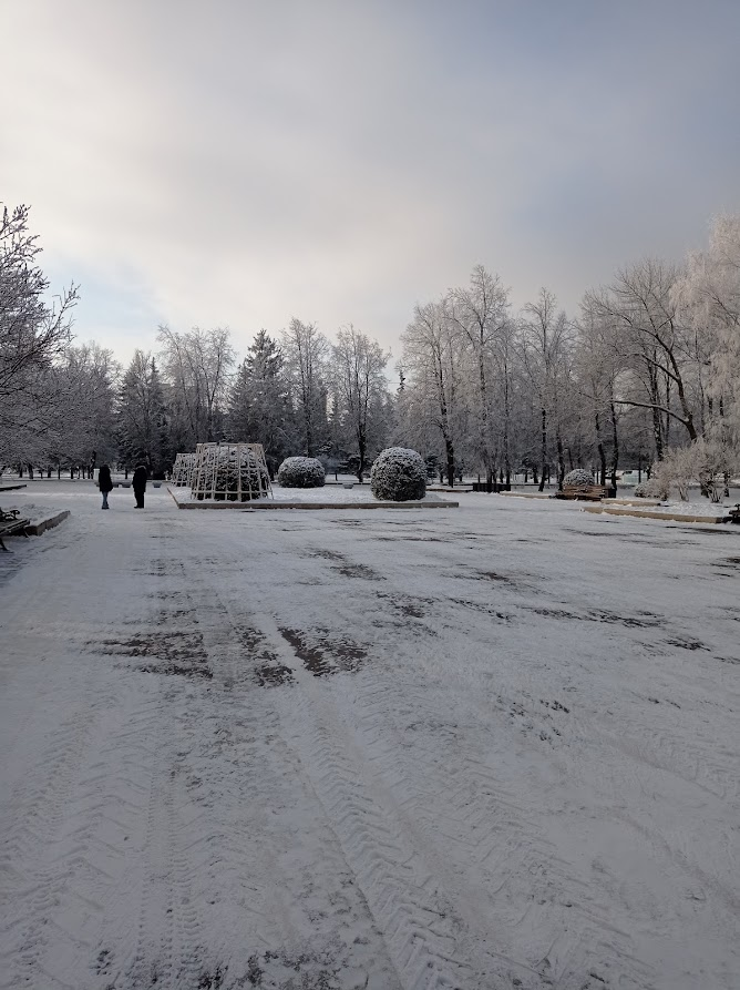 Зима. Первые дни 2022 года. Фото автора