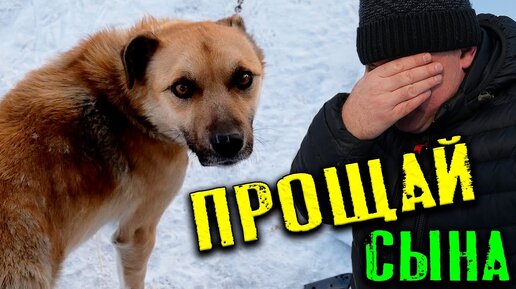 ПРОЩАЙ СЫНА 😭😢 !!! // УВЕЗЛИ В ЛУЧШУЮ ЖИЗНЬ