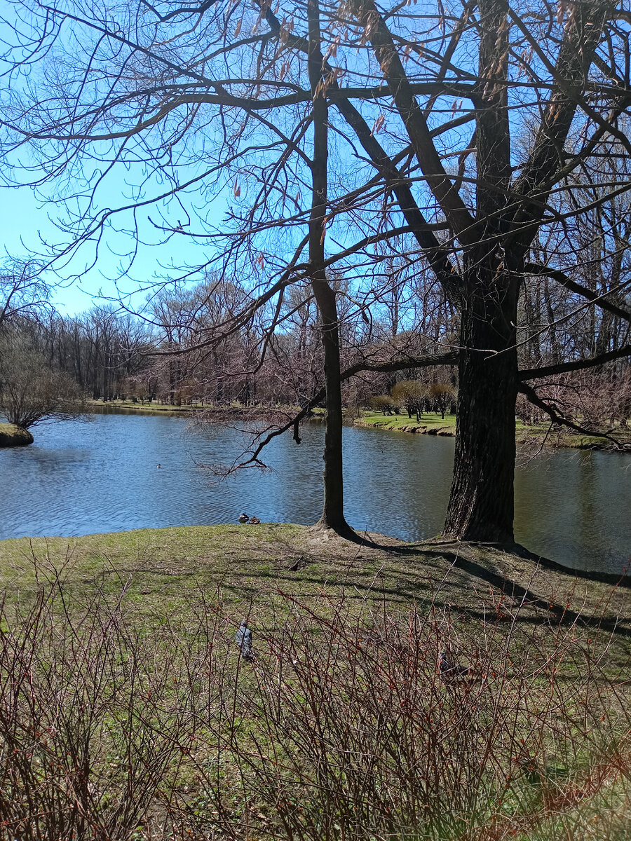 Весна все же пришла... Один из парков моего города /Фотография из личного архива/