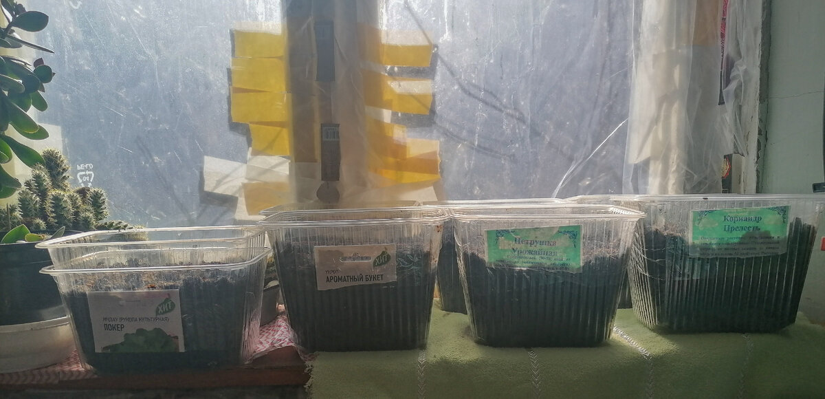 Вот такой будущий огородик