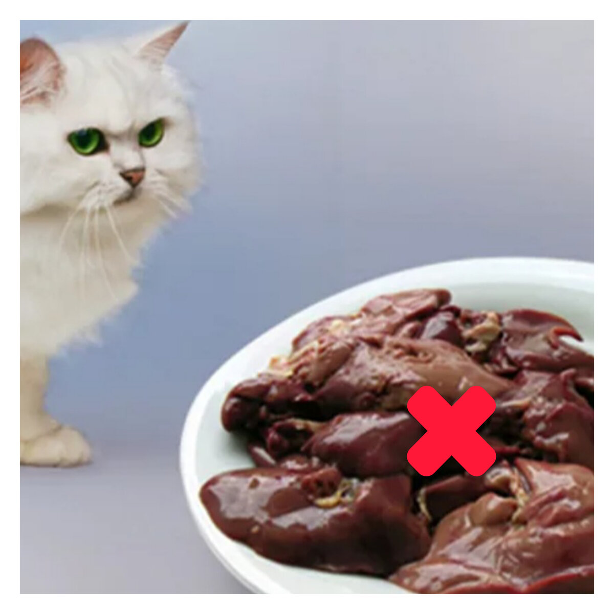 Свиная печень