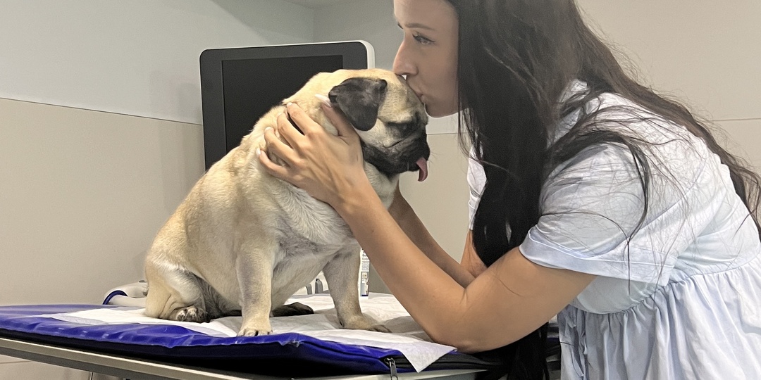 А вы уверенны, что ваш питомец здоров? 😳