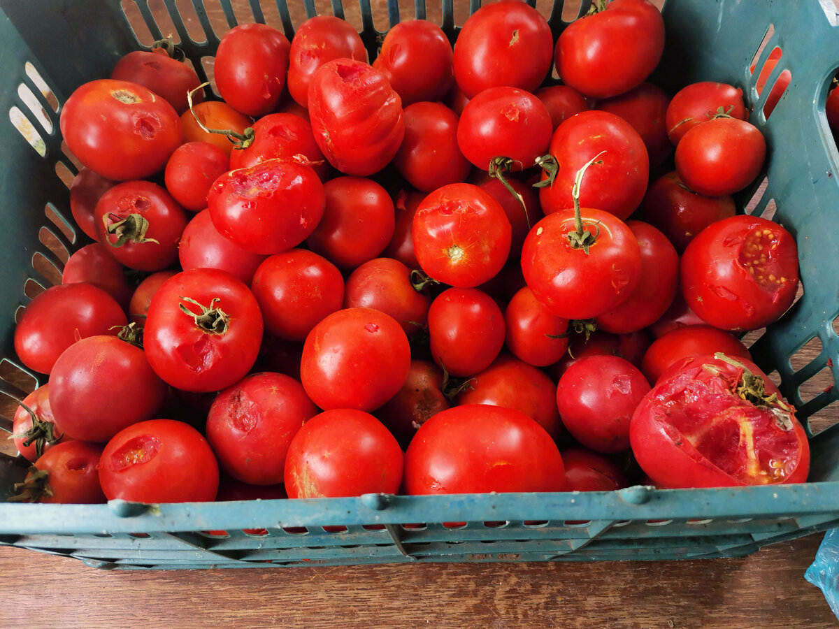 Каково было мое удивление,  когда я увидела вот такую картину