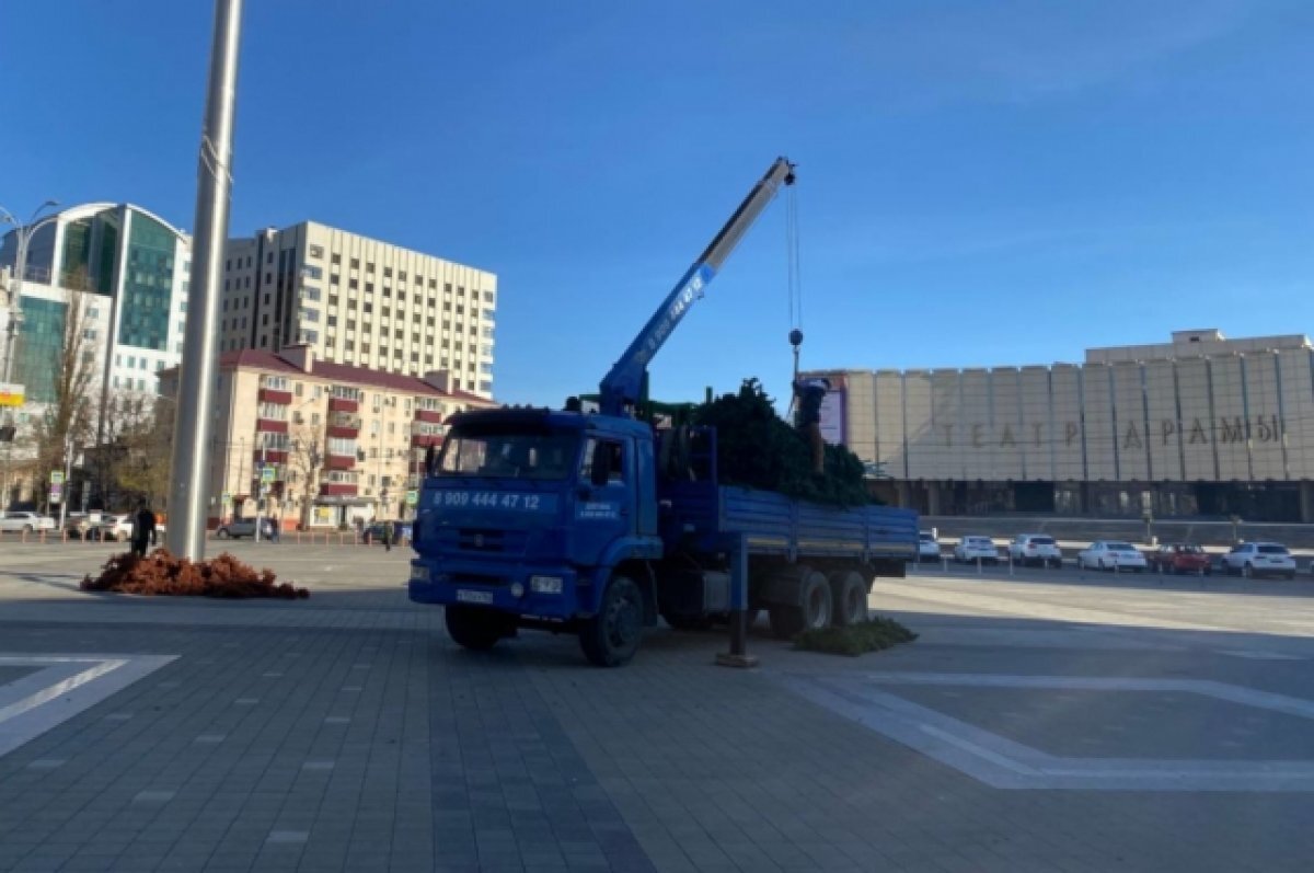    В первый день зимы в Краснодаре устанавливают главную городскую ёлку