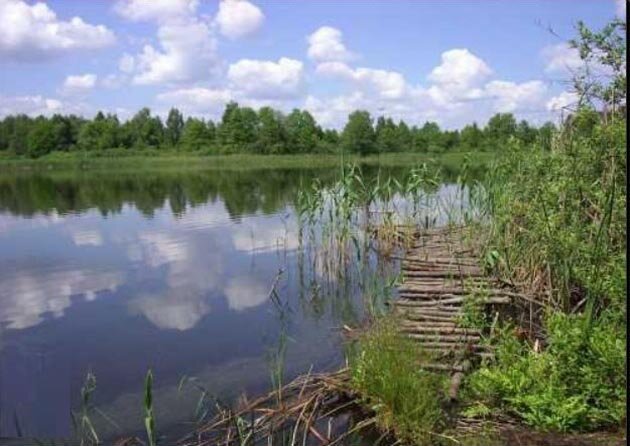 Окрестности села Затишье