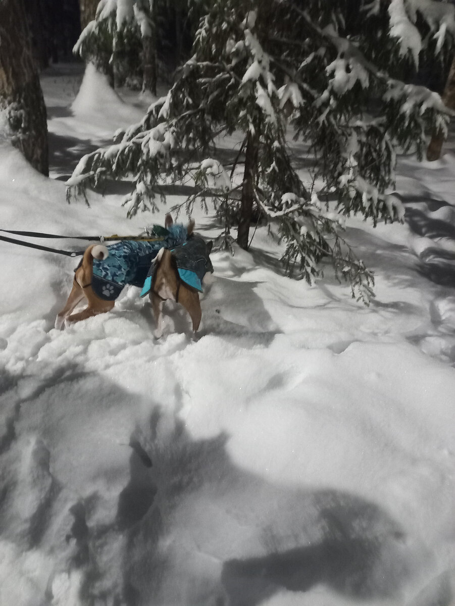 Нам все интересно. Фотография автора 