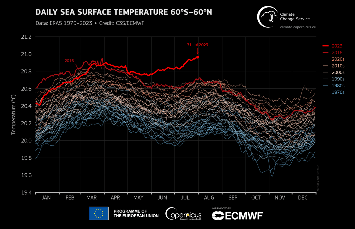    Температура мирового океана / © Copernicus