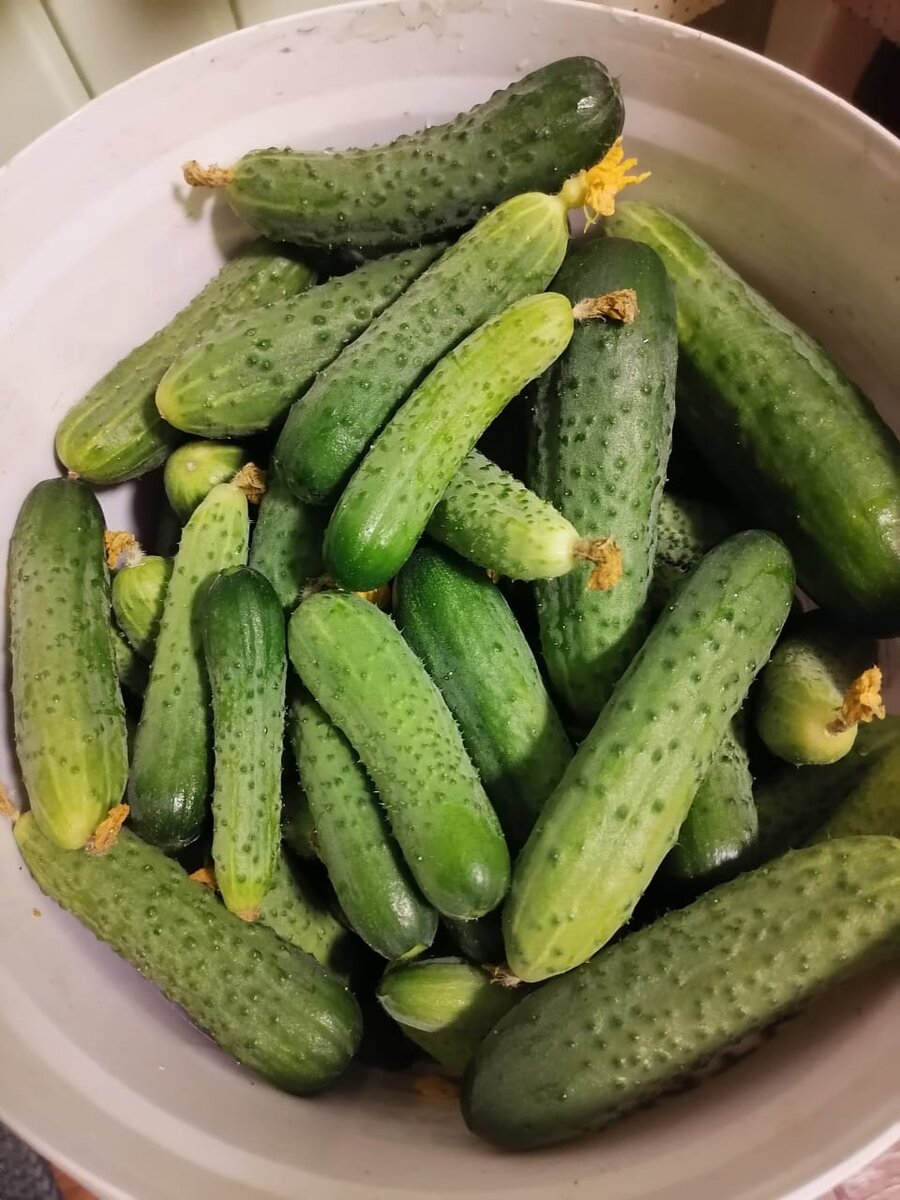 Огурцы, чтобы запутать вашу логику) 