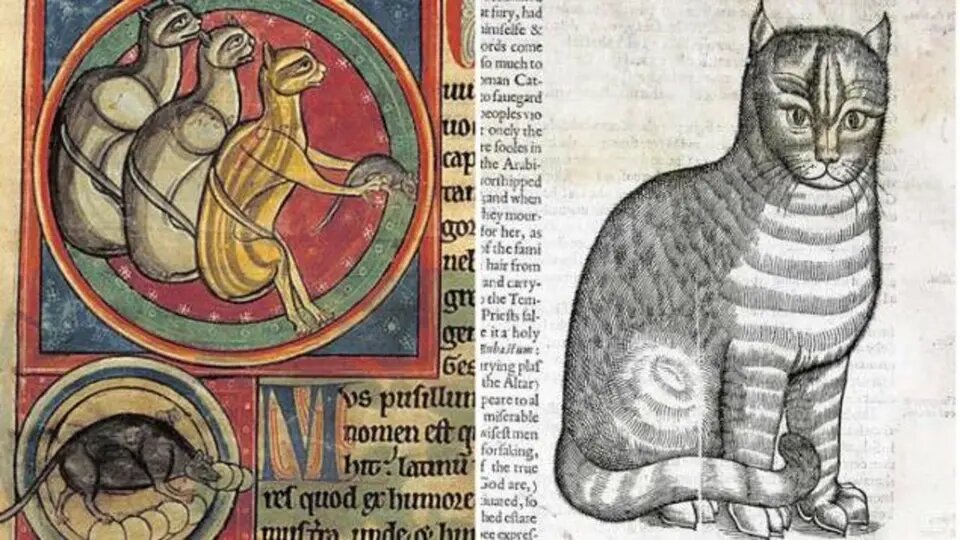 Коты на страницах средневековых рукописей