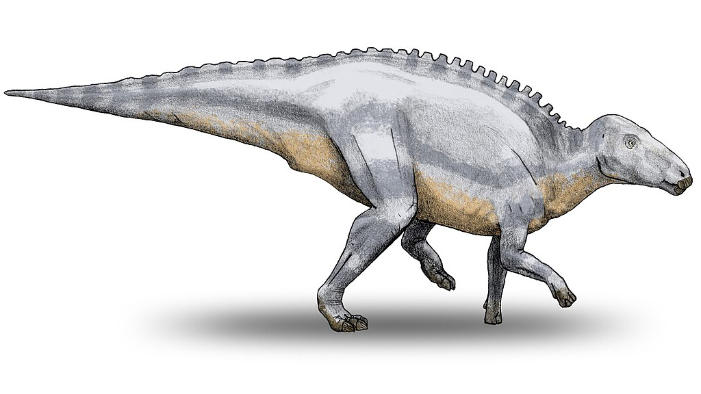 Птицетазовые. Telmatosaurus.
