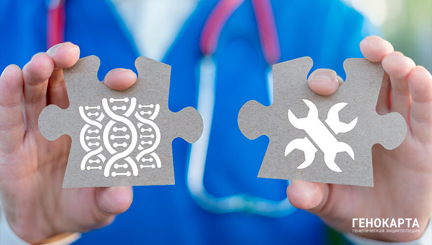 Panchenko Vladimir // shutterstock.com