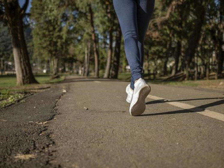     фото: pixabay.com