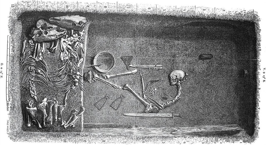  © C. Hedenstierna-Jonson et al., American Journal of Physical Anthropology / 2017 John Wiley & Sons, Inc. 