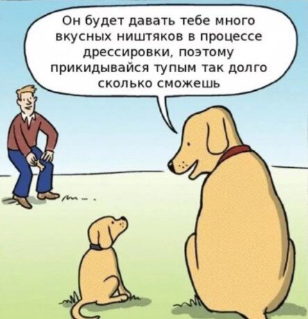 Про собак и их хозяев.. Смешная подборка из трех шуток на MIni-Dogs к 23 февраля