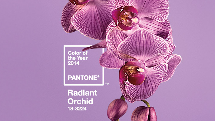 Цвет 2014 года, выбранный компанией Пантон.