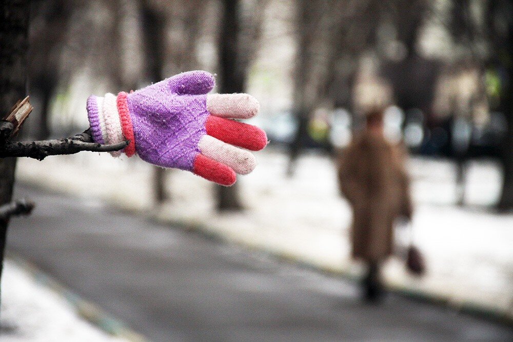 Фото: ТВЦ, Андрей Гуцков
